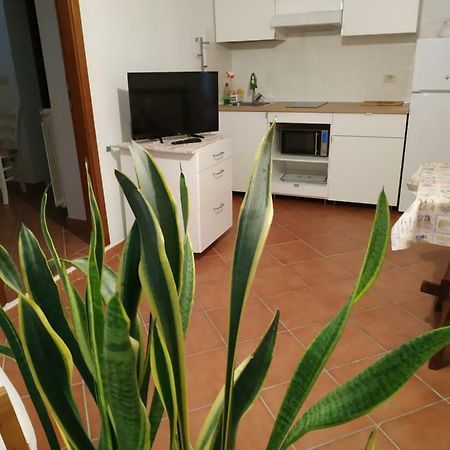 Gemini Appartamenti Grosseto Bagian luar foto